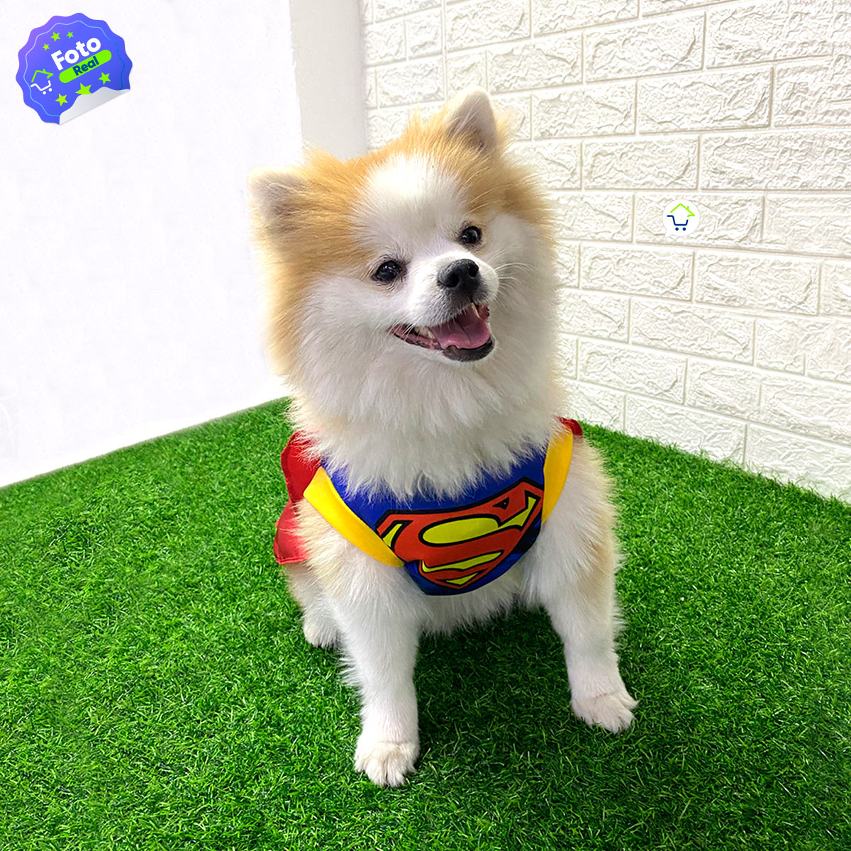 ¡DISFRAZ DE SUPERMAN PARA MASCOTAS!