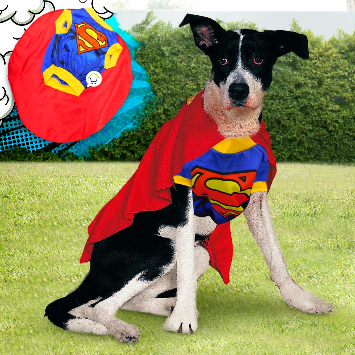 ¡DISFRAZ DE SUPERMAN PARA MASCOTAS!