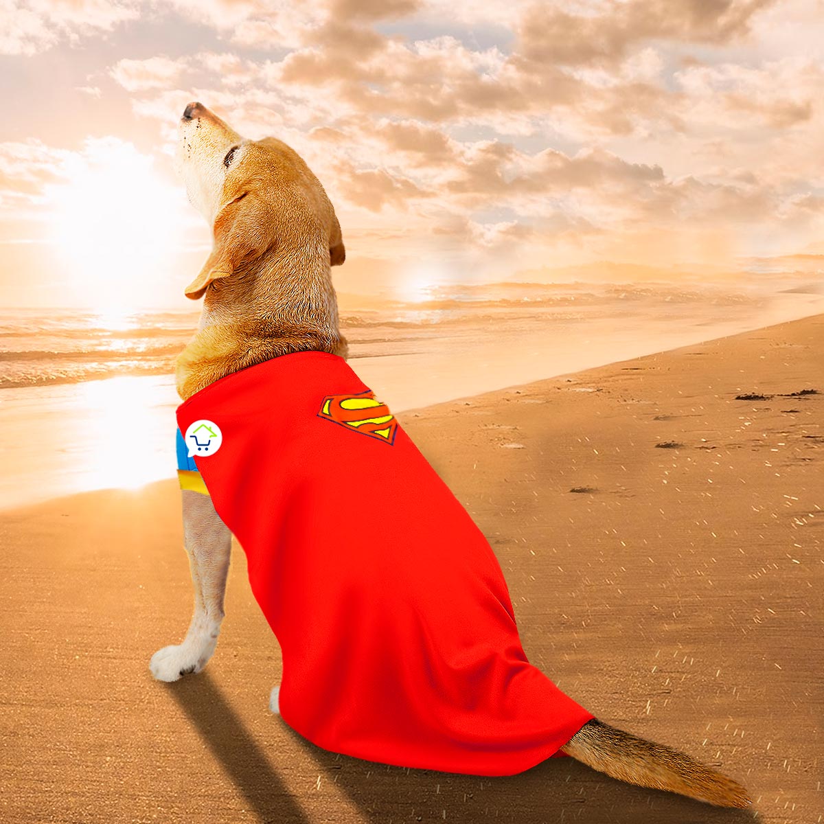 ¡DISFRAZ DE SUPERMAN PARA MASCOTAS!