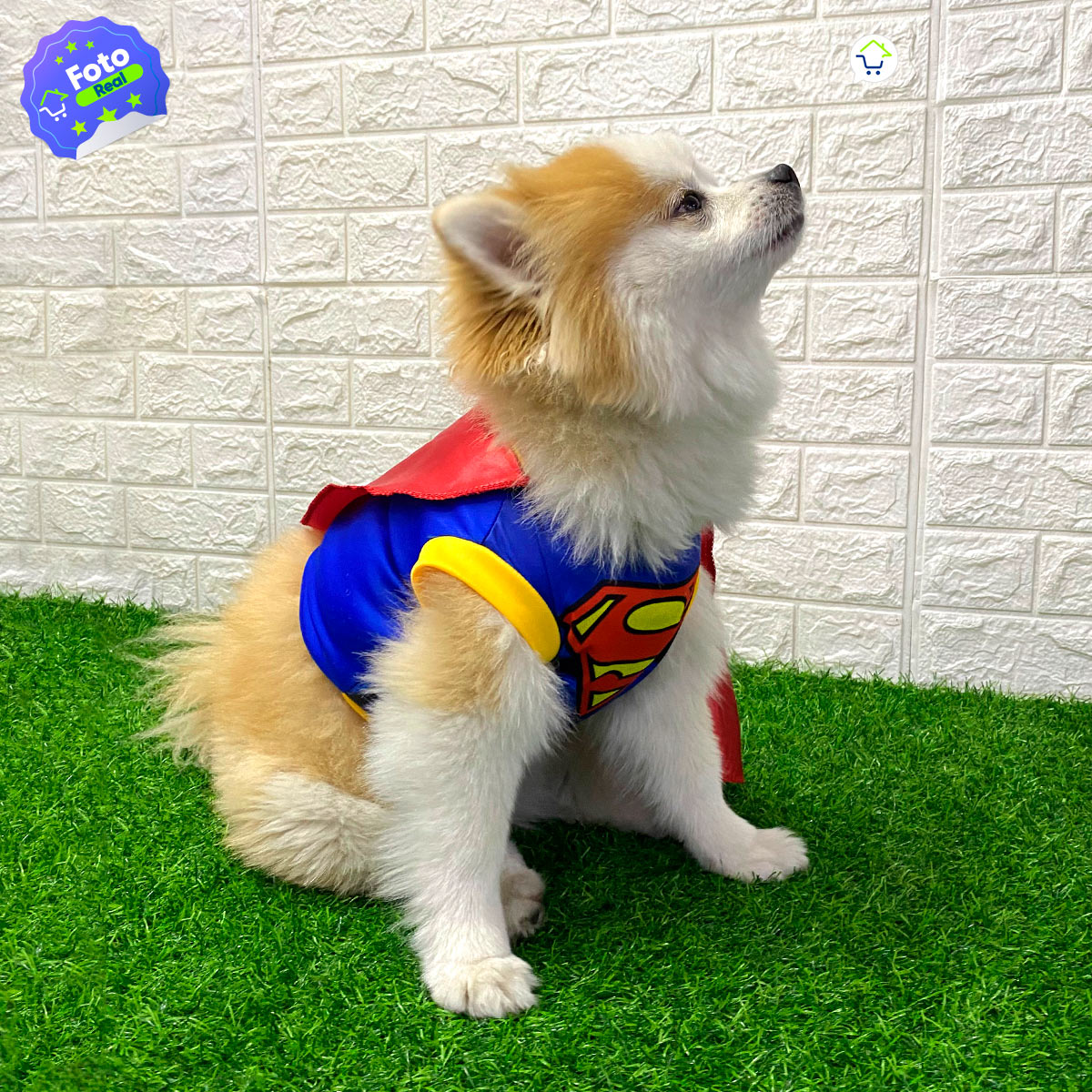 ¡DISFRAZ DE SUPERMAN PARA MASCOTAS!