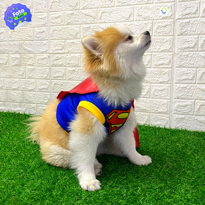 ¡DISFRAZ DE SUPERMAN PARA MASCOTAS!