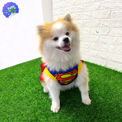 ¡DISFRAZ DE SUPERMAN PARA MASCOTAS!